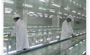 食品無塵車間設(shè)計(jì)應(yīng)該如何布局的呢-實(shí)力廠家在線解答【東鑫凈化】