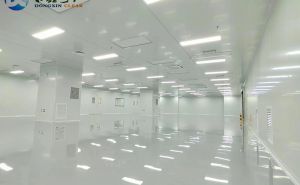 如何選擇一家好的凈化工程公司【東鑫凈化】