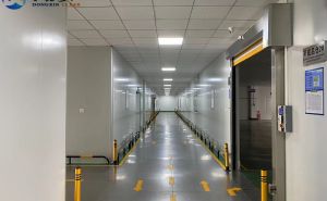 凈化工程的意義和發(fā)展趨勢(shì)【東鑫凈化】