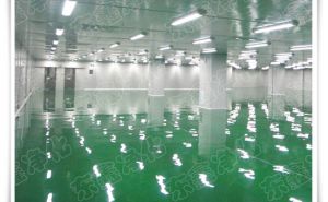 食品廠凈化工程一些需要注意的事項(xiàng)【東鑫凈化】