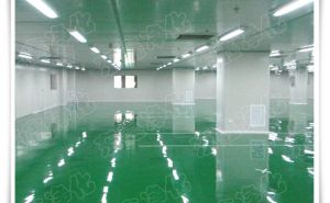 三十萬級無塵車間簡介【東鑫凈化】